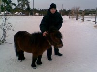 На конной экскурсии