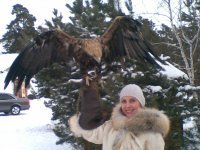 На конной прогулке с соколиной охотой